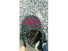 常州排水板%常州车库排水板@常州绿化排水板 常州排水板%常州车库排水板@常州绿化排水板