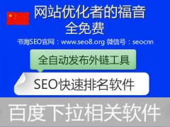 SEO新手学习过程