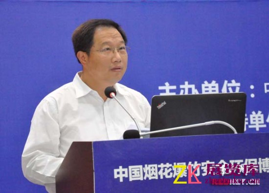 中国烟花爆竹安全环保博览会在浏阳开幕（组图）