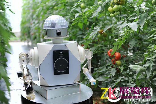 第十五届蔬菜博览会开幕。齐鲁网记者