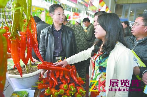 3月28日，参会者在农博会上观看天津朝研种苗科技有限公司培育的新品种冬胜2号大羊角椒，这种辣椒平均单果重125克至170克，适合越冬、早春温室栽培。