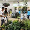 2017上海园林景观展