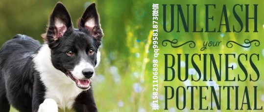 Global-Pet-Expo-Logo-20151-539x230