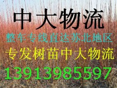 中大物流运输推广苏北地区专线整车直达的 中大物流运输推广苏北地区专线整车直达的