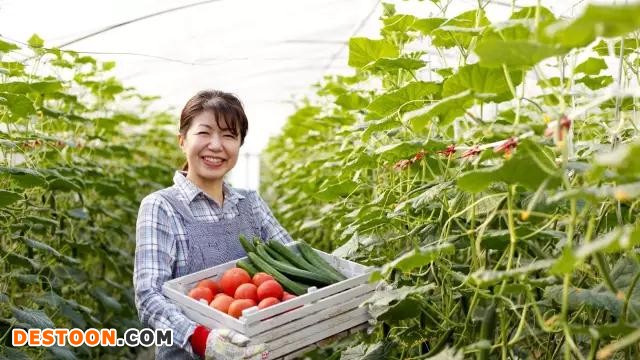 微信图片_20170701085031