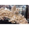 2018北京根雕木雕艺术展（北京）文博会