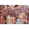 批发 带皮驴肉新鲜驴肉活驴现杀厂家 生鲜驴肉批发