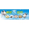 冷冻肉类产品批发网站-新冻网