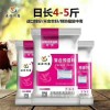 育肥牛如何正确用催肥饲料
