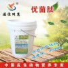 育肥羊怎么才能快速长肉快添加剂