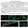 大新县承接湘潭市白石乡灌区地形图航测项目