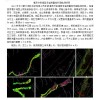 大新县承接湘西州保靖县河道测量地形图航测项目