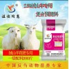 绒山羊喂什么饲料