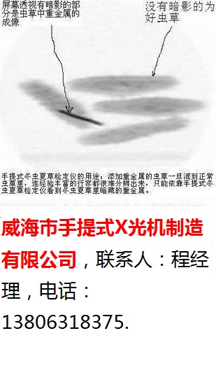 威海市手提式X光机-73-200-透视虫草效果