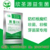 不用无根剂芽苗菜增产办法有哪些