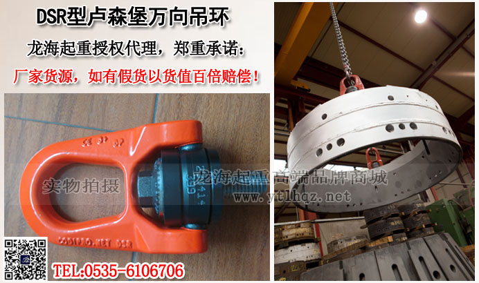 DSR卢森堡吊环图片