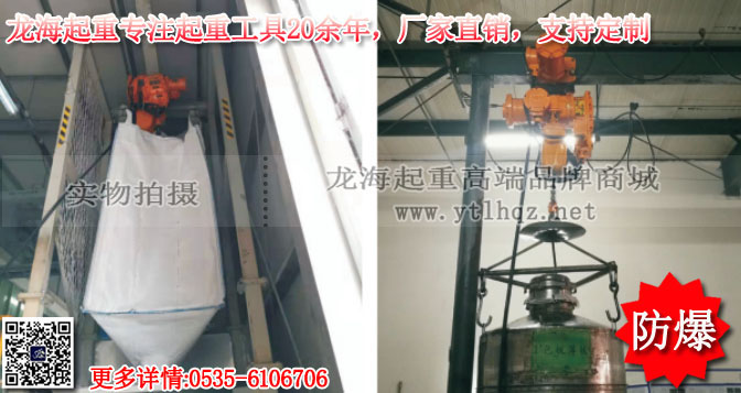 防爆环链电动葫芦案例