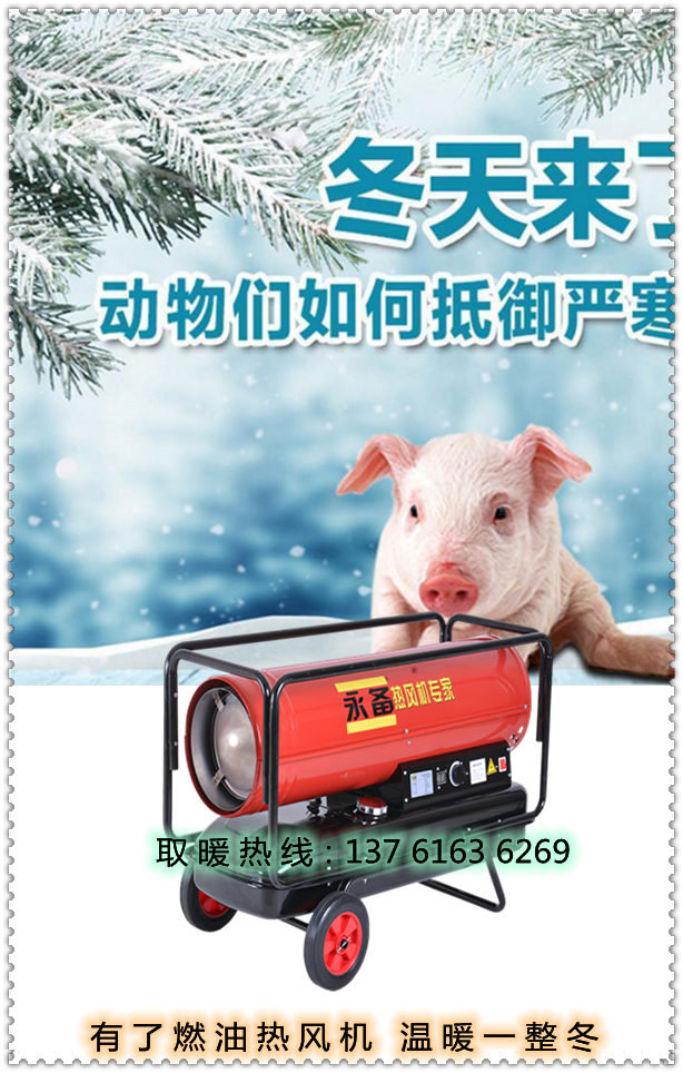 冬季取暖燃油热风机(1)
