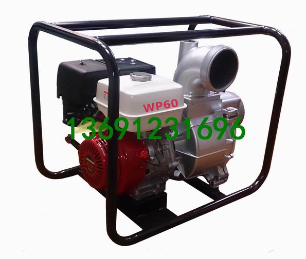 WP60 有水印(新)