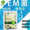 使用酒糟来喂鱼真的对鱼有好处吗