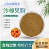 沙棘果粉 99%沙棘提取物 可定制 食品原料DEM贴牌