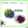 蓝莓果粉代加工 固体饮料浓缩粉末 DEM贴牌